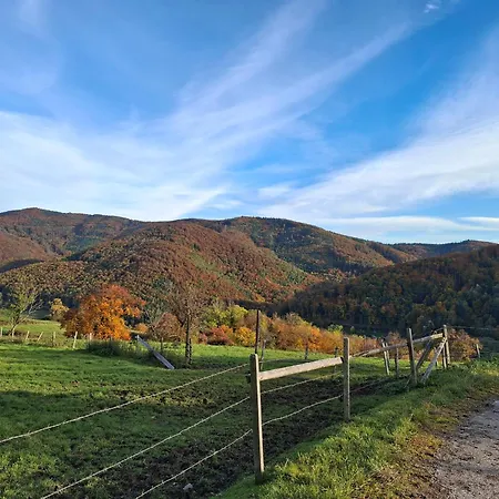 Grossleiten Alm Апартаменты *