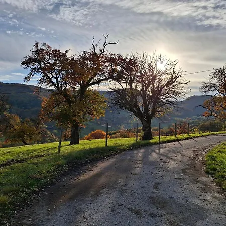 Grossleiten Alm شقة