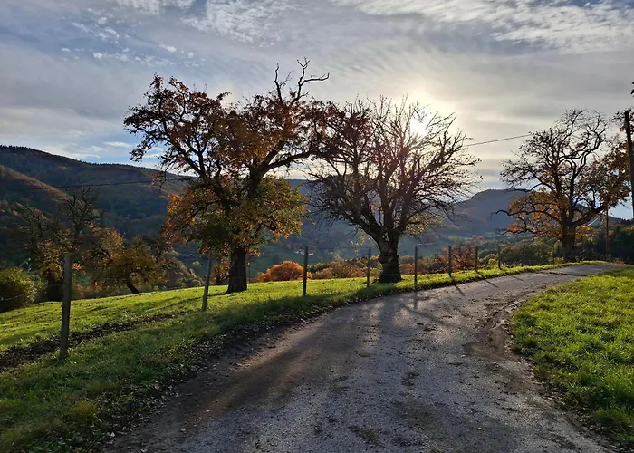 Grossleiten Alm Apartment