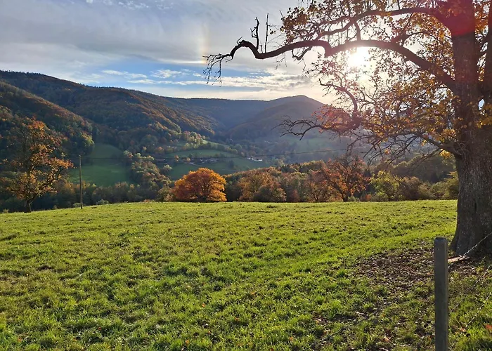 Grossleiten Alm Laaben